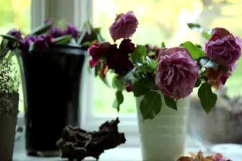 ATOB - C0lby K3ll3r & Dal3 C00p3r