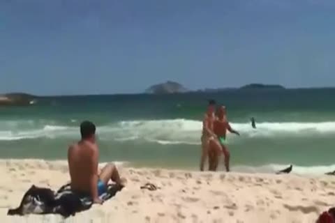 Four twinks don't Want To Swim Any greater amount, Tthis fellowy Want Some bawdy homosexual S