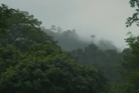 Natural