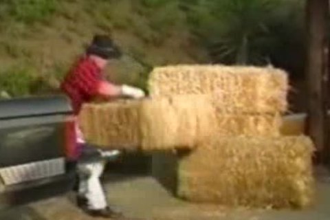 Ranch Hands