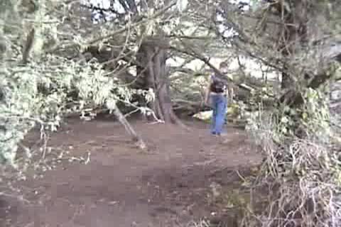 2 twinks hammering In Tthowdys man Woods