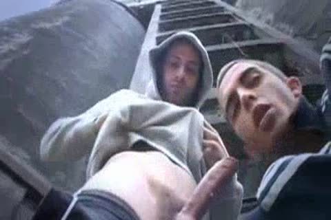 Fit Scally Chav lads Outdoor trio
