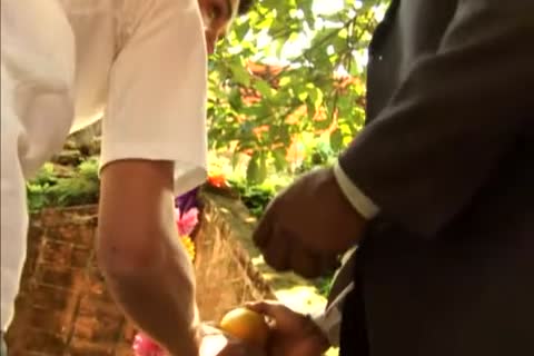 Arena entertainment - Tropical Sensations (Ic