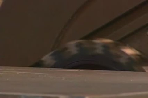 The Renato Bellagio Collection - Scene 7