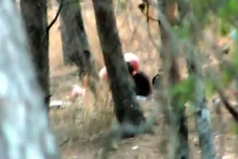 Xhamster.com 4066092 non-professional Cruising In