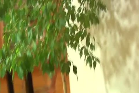 Real young Euro Cocksucking For extra specie