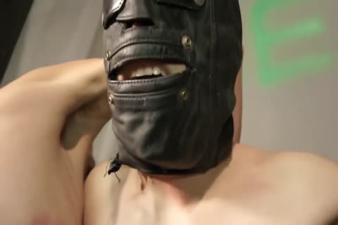 Super cute gay bondage