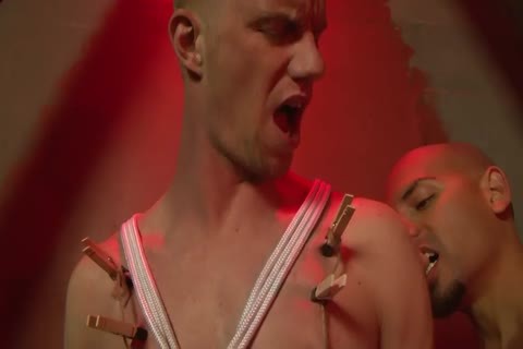 rough bare Real Scene 1