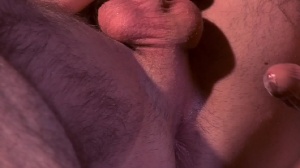 Top To Bottom : Woody Fox - Woody Fox hardcore Hump