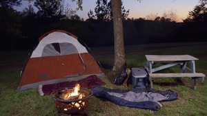 DrillMyHole: Inked Pierce Paris & american Beaux Banks