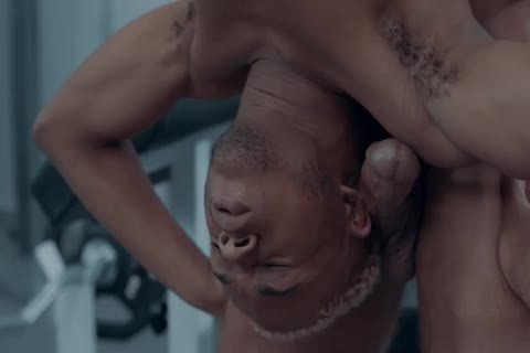 cocks Rub Large Penises Jointly