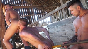 Falcon Studios: Hairy Brian Bonds together with Brandon Wilde