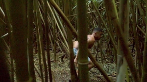 Men: Matthew Camp's Hawaiian Hideaway