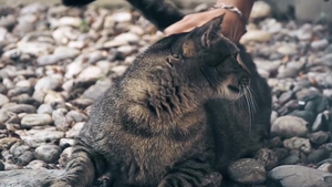 Beno Fulfills His Fantasy with Navon