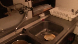 Debt Dandy: Satisfying Curiosity in a Smelly Apartment